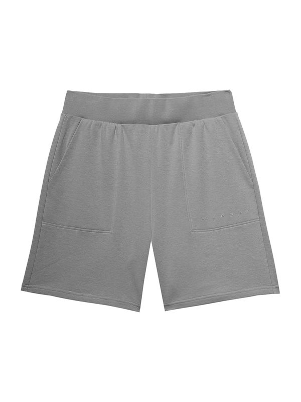 4F 4F Sportske hlače  siva