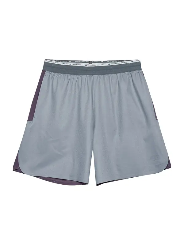 4F 4F Sportske hlače  svijetlosiva / crna