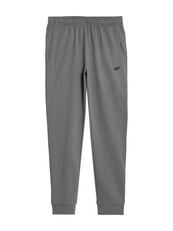 4F 4F Sportske hlače  svijetlosiva