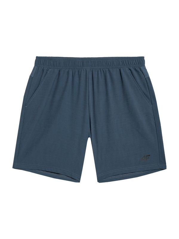 4F 4F Tehničke hlače  plava / crna