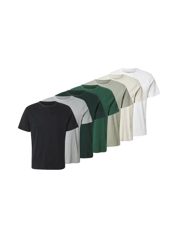 Abercrombie & Fitch Abercrombie & Fitch Majica 'Classic Essential'  siva / zelena / crna / bijela
