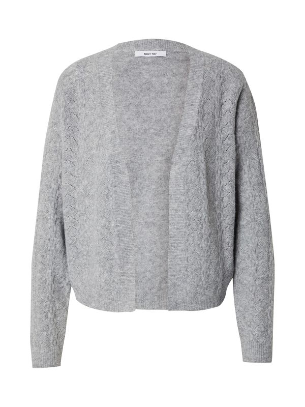 ABOUT YOU ABOUT YOU Kardigan 'Pina'  siva