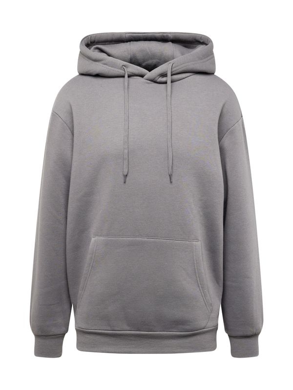 ABOUT YOU ABOUT YOU Sweater majica 'Dian Hoodie'  antracit siva