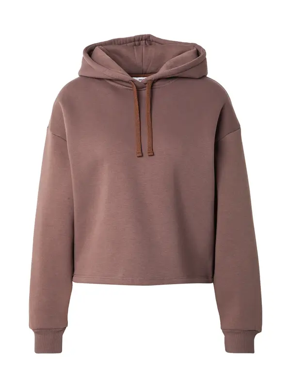 ABOUT YOU ABOUT YOU Sweater majica 'Elmira'  brokat