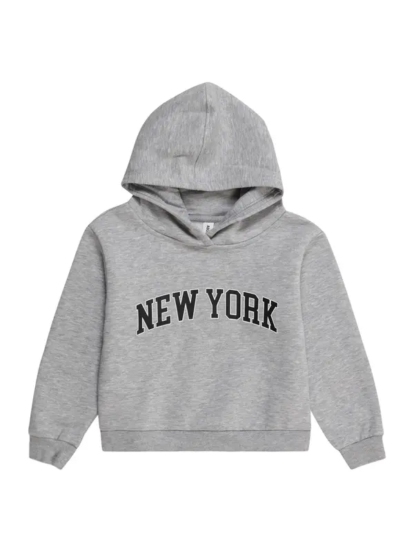 ABOUT YOU ABOUT YOU Sweater majica 'Sydney'  siva melange