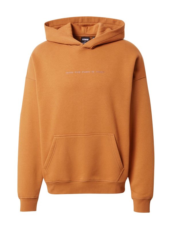 ABOUT YOU x Dardan ABOUT YOU x Dardan Sweater majica 'Benny'  smeđa