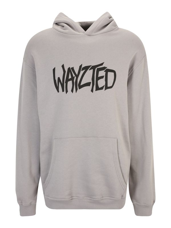 About You x Nils Kuesel About You x Nils Kuesel Sweater majica 'Denny'  tamo siva