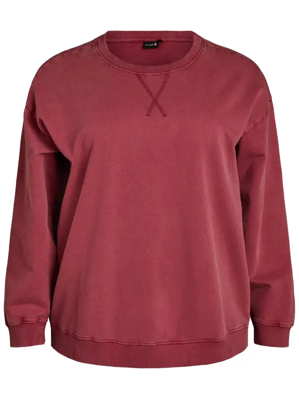 Active by Zizzi Active by Zizzi Sweater majica 'APENNY'  crvena