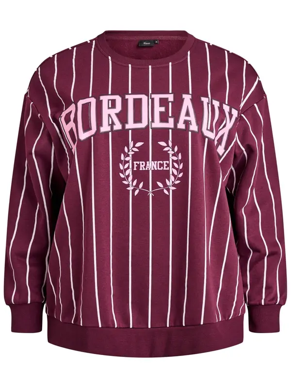 Active by Zizzi Active by Zizzi Sweater majica  bordo / bijela