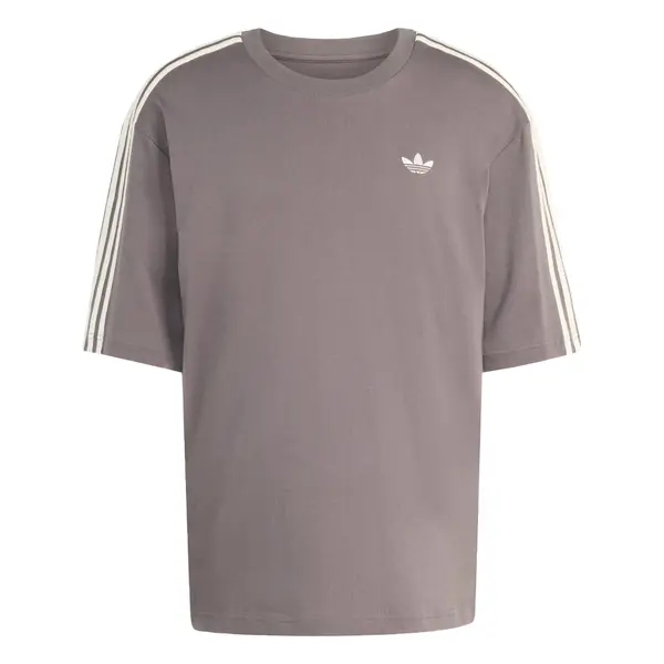 ADIDAS ORIGINALS ADIDAS ORIGINALS Majica 'Adicolor'  siva / bijela