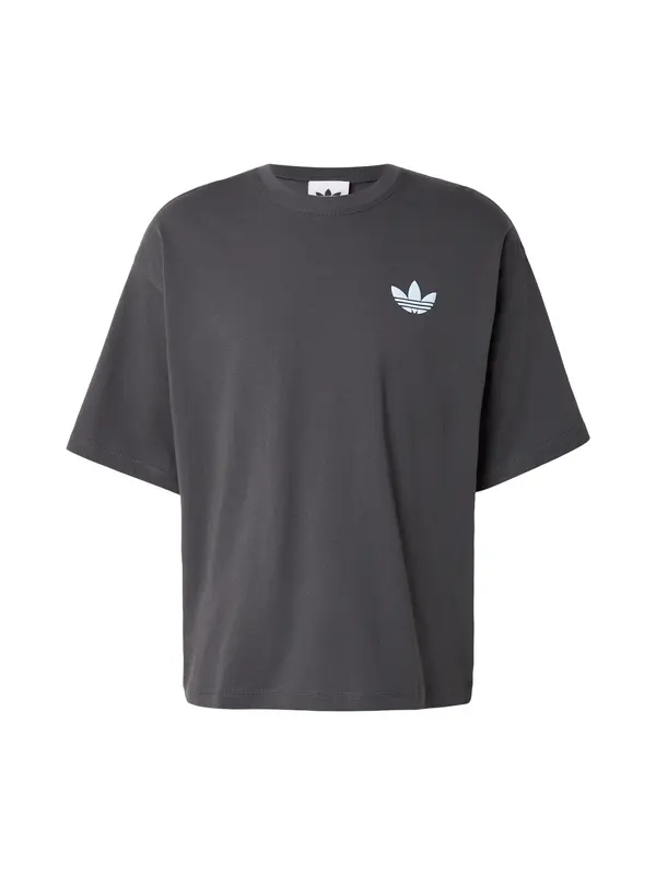ADIDAS ORIGINALS ADIDAS ORIGINALS Majica 'Mountain'  svijetloplava / siva / svijetlosiva / crna