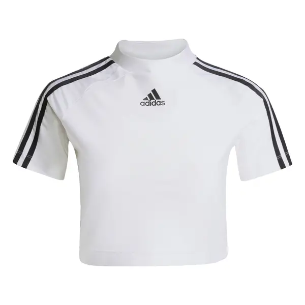 ADIDAS ORIGINALS ADIDAS ORIGINALS Majica 'Teamgeist Adicolor'  crna / bijela