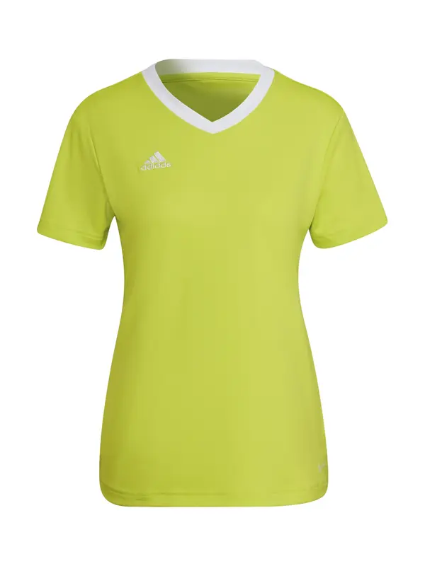 ADIDAS PERFORMANCE ADIDAS PERFORMANCE Dres 'Entrada 22'  kivi zelena / bijela
