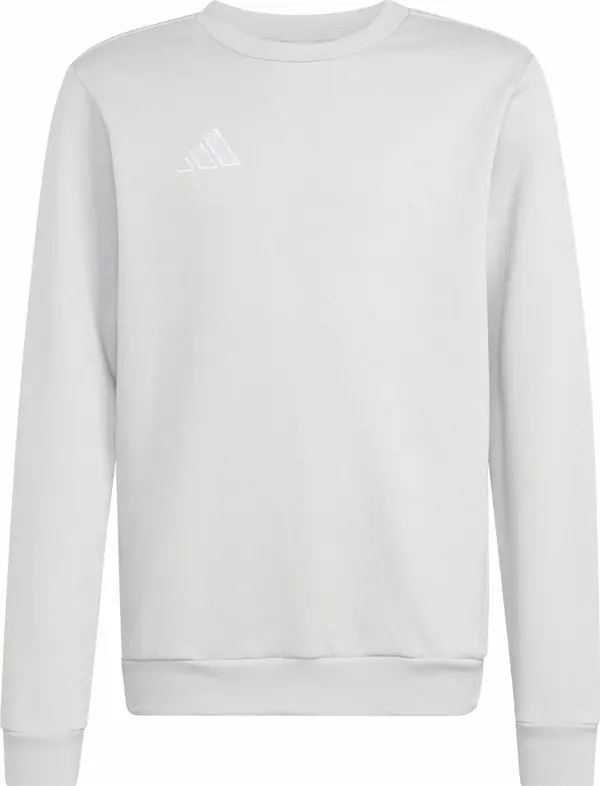 ADIDAS PERFORMANCE ADIDAS PERFORMANCE Sportska sweater majica 'ENT26'  svijetlosiva / bijela
