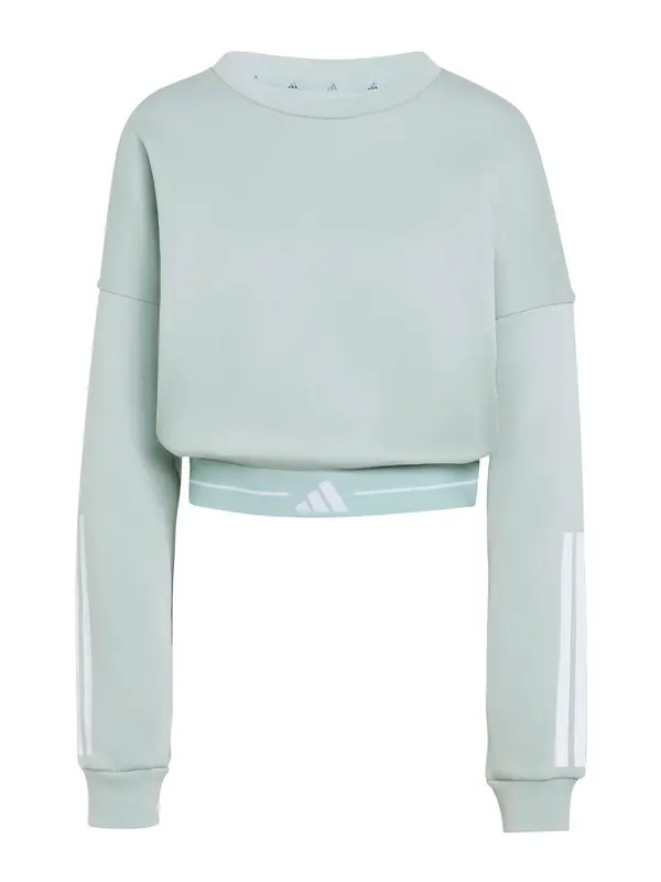 ADIDAS PERFORMANCE ADIDAS PERFORMANCE Sportska sweater majica 'HYG'  bijela