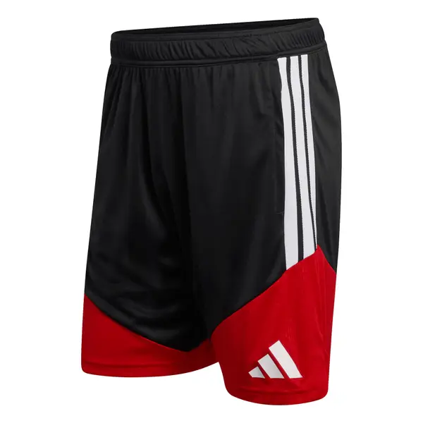 ADIDAS PERFORMANCE ADIDAS PERFORMANCE Sportske hlače 'DFB'  crvena / crna / bijela