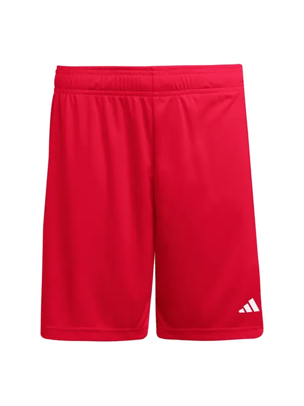 ADIDAS PERFORMANCE ADIDAS PERFORMANCE Sportske hlače 'ENT26'  crvena