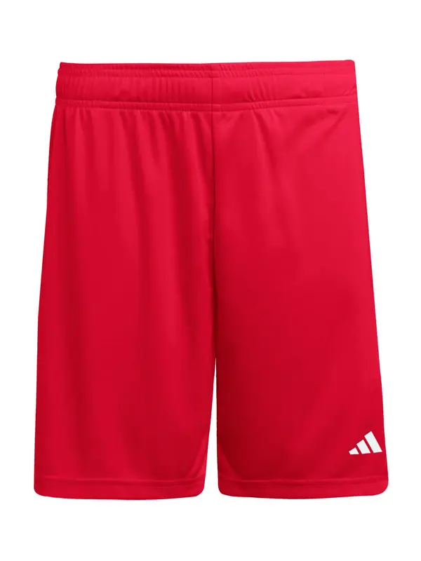 ADIDAS PERFORMANCE ADIDAS PERFORMANCE Sportske hlače 'ENT26'  krvavo crvena / bijela
