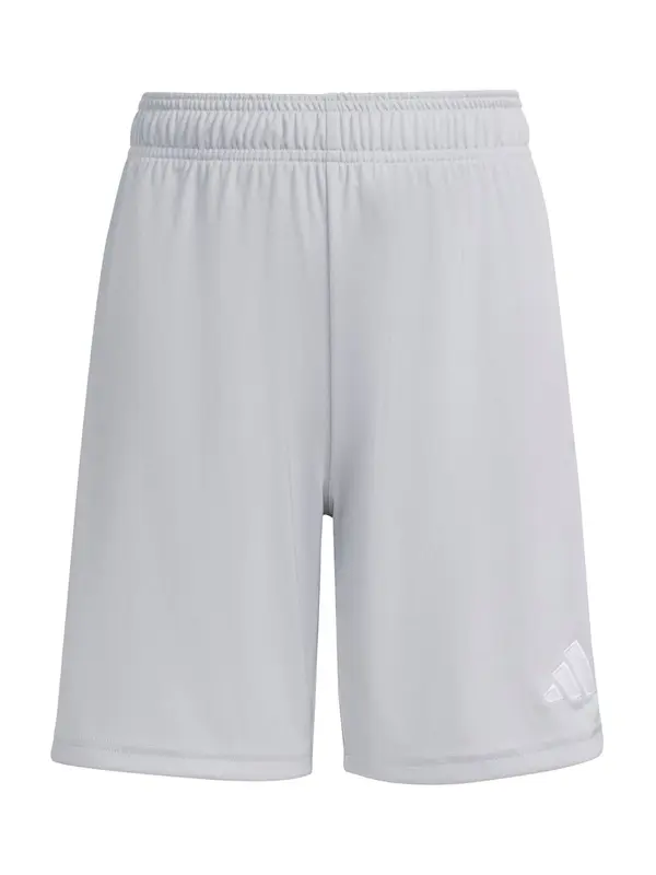 ADIDAS PERFORMANCE ADIDAS PERFORMANCE Sportske hlače 'ENT26'  svijetlosiva