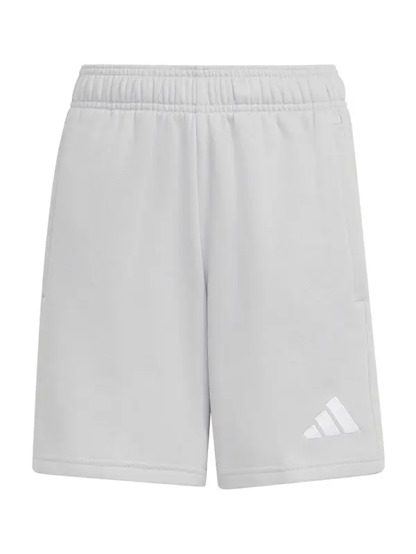 ADIDAS PERFORMANCE ADIDAS PERFORMANCE Sportske hlače 'ENT26'  svijetlosiva