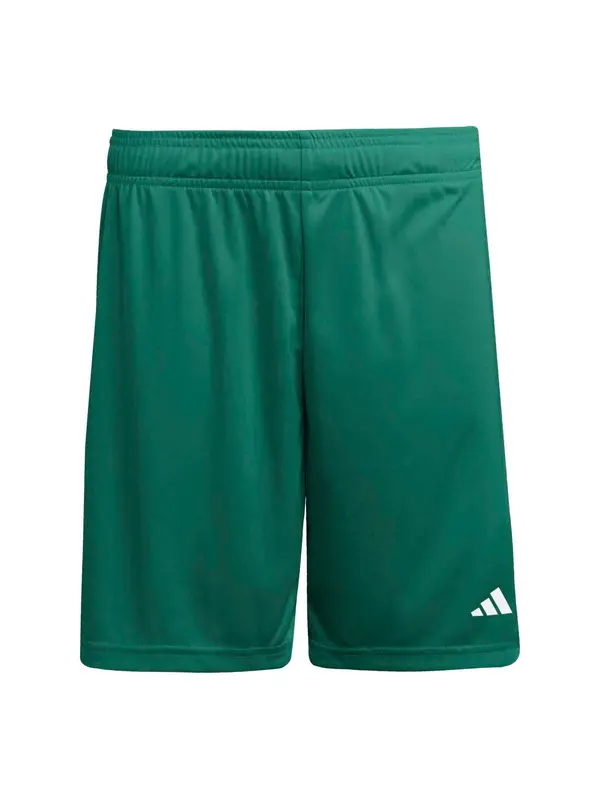 ADIDAS PERFORMANCE ADIDAS PERFORMANCE Sportske hlače 'ENT26'  zelena