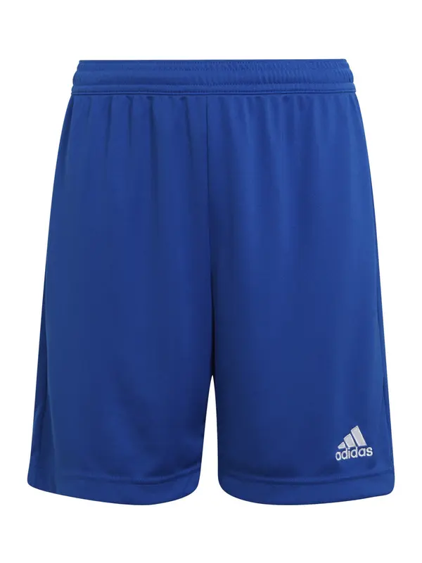 ADIDAS PERFORMANCE ADIDAS PERFORMANCE Sportske hlače 'Entrada 22'  tamno plava / bijela
