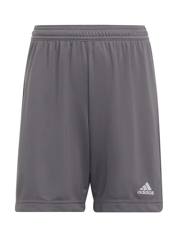 ADIDAS PERFORMANCE ADIDAS PERFORMANCE Sportske hlače 'Entrada 22'  tamo siva / bijela