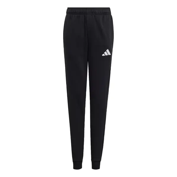 ADIDAS PERFORMANCE ADIDAS PERFORMANCE Sportske hlače 'Entrada26'  crna / bijela