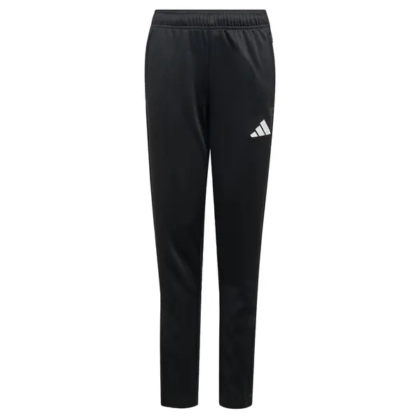 ADIDAS PERFORMANCE ADIDAS PERFORMANCE Sportske hlače 'Entrada26'  crna / bijela