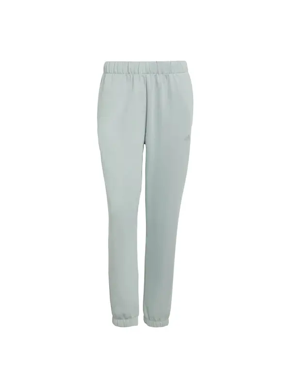 ADIDAS PERFORMANCE ADIDAS PERFORMANCE Sportske hlače 'Essentials'  menta