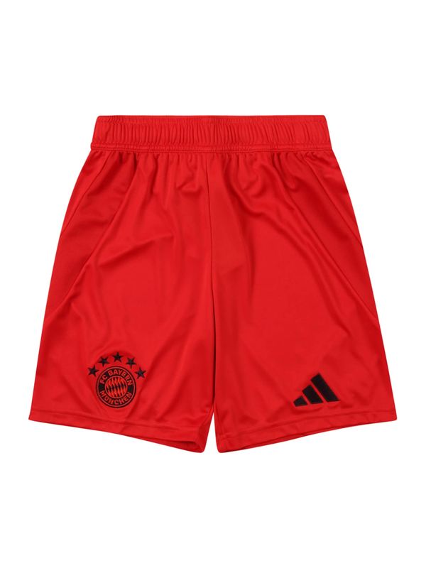 ADIDAS PERFORMANCE ADIDAS PERFORMANCE Sportske hlače 'FC Bayern 24/25'  crvena / crna