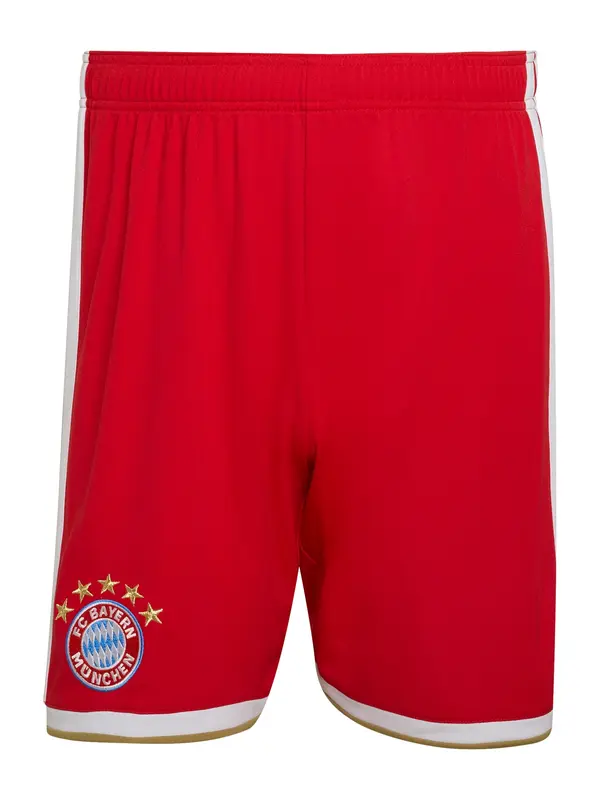 ADIDAS PERFORMANCE ADIDAS PERFORMANCE Sportske hlače 'FC Bayern München 26/27'  boja devine dlake (camel) / azur / crvena / bijela
