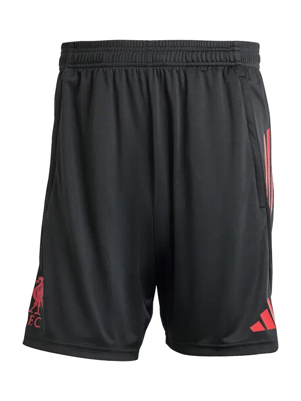 ADIDAS PERFORMANCE ADIDAS PERFORMANCE Sportske hlače 'FC Liverpool Competition 2025/2026'  bež siva / crvena / crna
