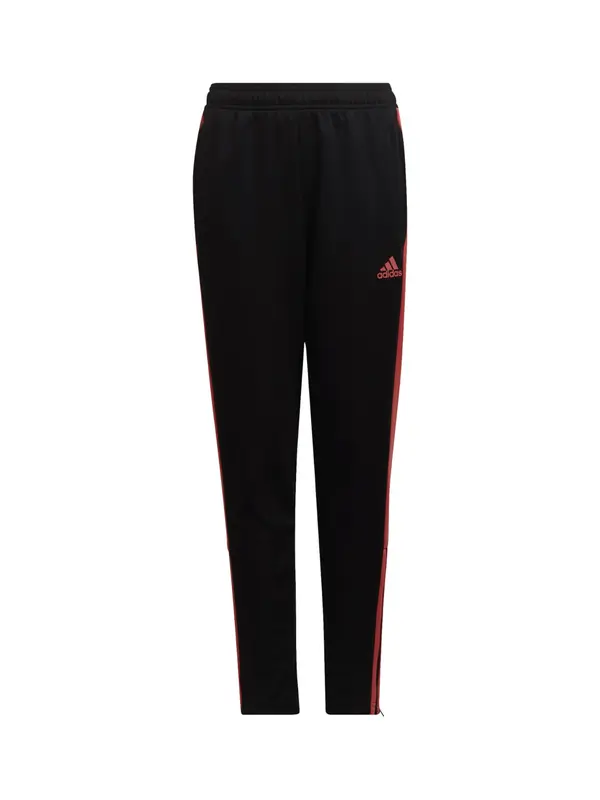 ADIDAS PERFORMANCE ADIDAS PERFORMANCE Sportske hlače  krvavo crvena / crna