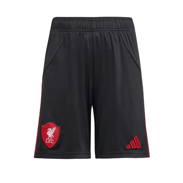 ADIDAS PERFORMANCE ADIDAS PERFORMANCE Sportske hlače 'Liverpool FC 25/26'  crvena / crna / bijela
