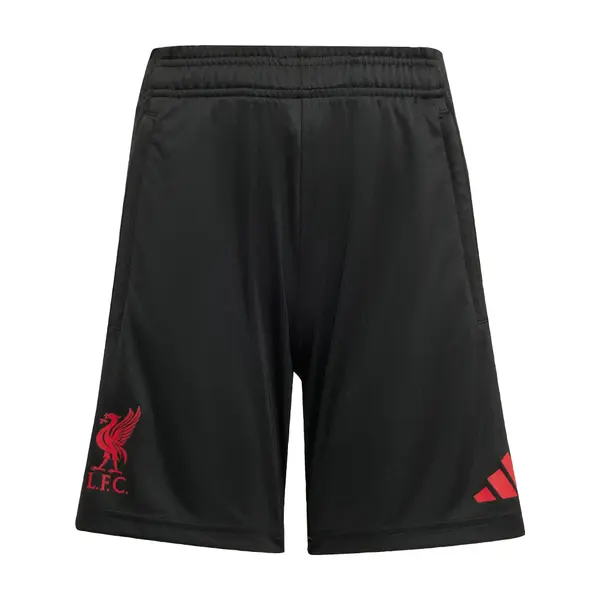 ADIDAS PERFORMANCE ADIDAS PERFORMANCE Sportske hlače 'Liverpool FC Tiro 25 Competition'  pijesak / crvena / crna
