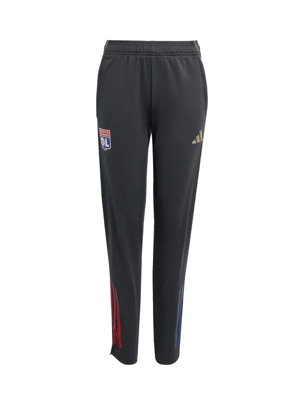 ADIDAS PERFORMANCE ADIDAS PERFORMANCE Sportske hlače  plava / zlatna / siva / crvena