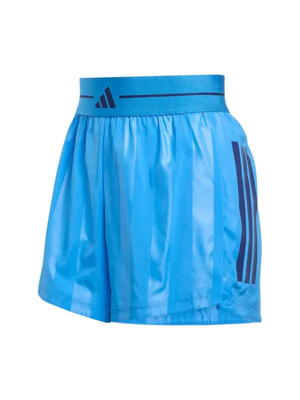 ADIDAS PERFORMANCE ADIDAS PERFORMANCE Sportske hlače 'Q2 HYG'  nebesko plava / svijetloplava / crna