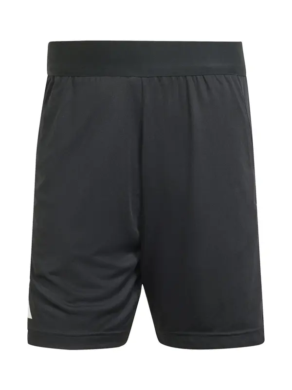 ADIDAS PERFORMANCE ADIDAS PERFORMANCE Sportske hlače 'Referee 24'  crna / bijela