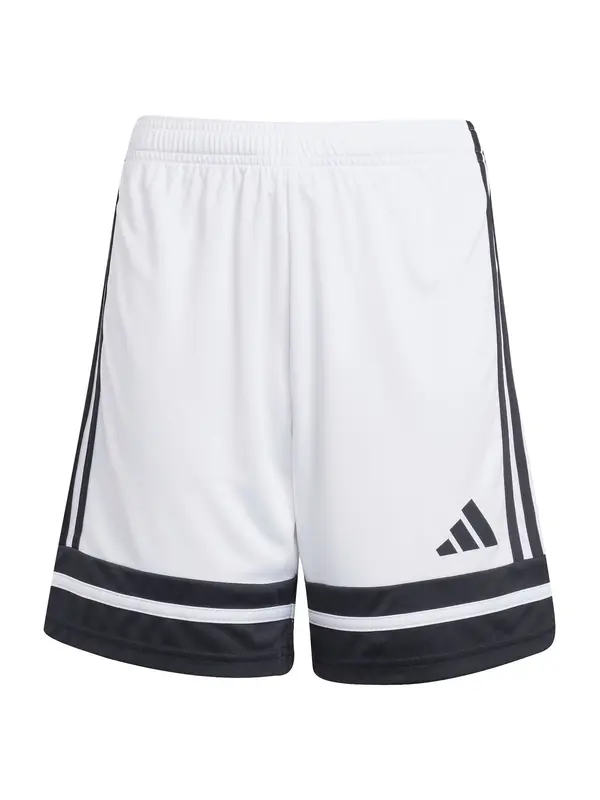 ADIDAS PERFORMANCE ADIDAS PERFORMANCE Sportske hlače 'Squadra 25'  crna / bijela