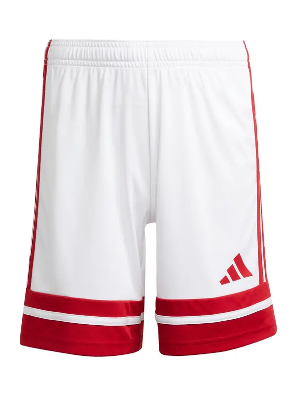 ADIDAS PERFORMANCE ADIDAS PERFORMANCE Sportske hlače 'Squadra 25'  crvena / bijela