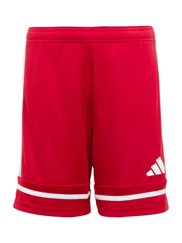 ADIDAS PERFORMANCE ADIDAS PERFORMANCE Sportske hlače 'Squadra 25'  karmin crvena / bijela