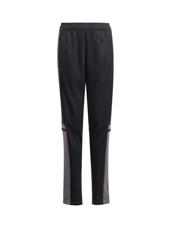 ADIDAS PERFORMANCE ADIDAS PERFORMANCE Sportske hlače 'Squadra 25'  klasično crvena / crna