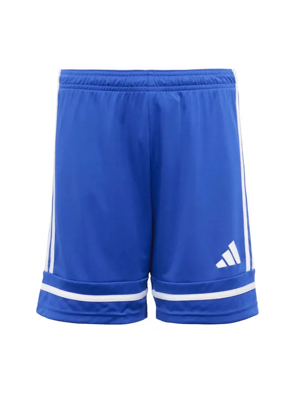 ADIDAS PERFORMANCE ADIDAS PERFORMANCE Sportske hlače 'Squadra 25'  kraljevsko plava / bijela