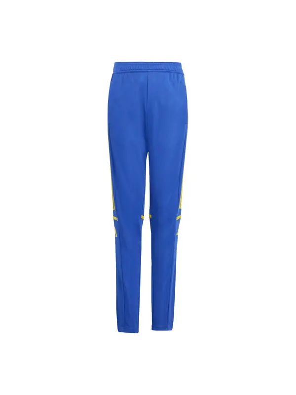 ADIDAS PERFORMANCE ADIDAS PERFORMANCE Sportske hlače 'Squadra 25'  plava / limeta zelena