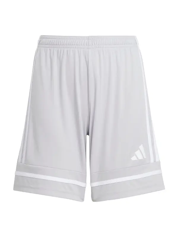 ADIDAS PERFORMANCE ADIDAS PERFORMANCE Sportske hlače 'Squadra 25'  siva / bijela