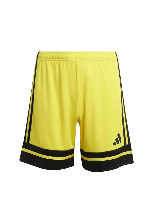 ADIDAS PERFORMANCE ADIDAS PERFORMANCE Sportske hlače 'Squadra 25'  žuta / crna