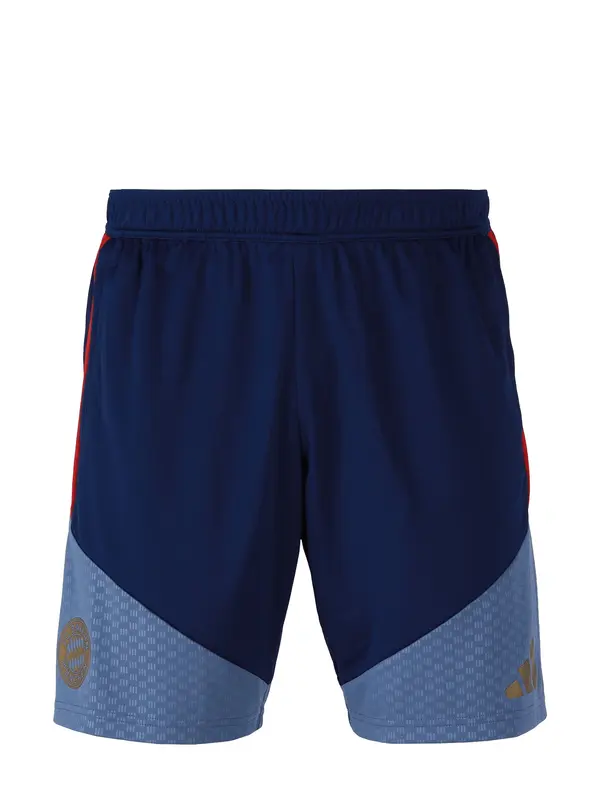 ADIDAS PERFORMANCE ADIDAS PERFORMANCE Sportske hlače 'Teamline'  golublje plava / tamno plava / crvena
