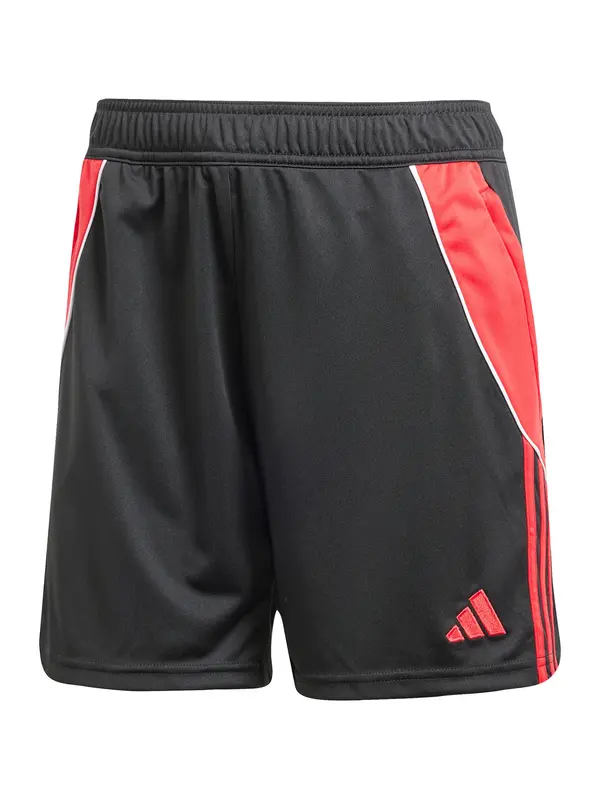 ADIDAS PERFORMANCE ADIDAS PERFORMANCE Sportske hlače 'Tiro 24'  krvavo crvena / crna / bijela