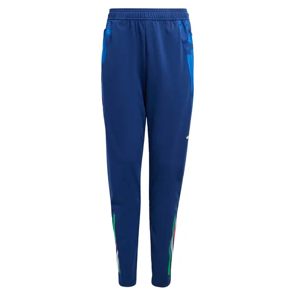 ADIDAS PERFORMANCE ADIDAS PERFORMANCE Sportske hlače 'Tiro 24'  plava
